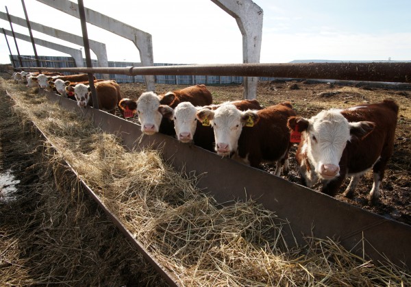 ��������������� ���������� �� �������� ��������� ����� ��������� ������� ������������� ���������� ������� �������������� 